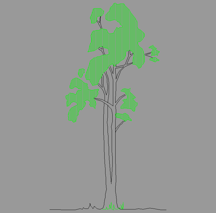 Bloque Autocad Vista de Árbol Color 04 en Alzado